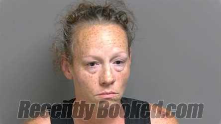 Booking photo from Macomb County, Michigan