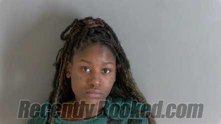 Booking photo from Macomb County, Michigan