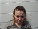 Mugshot of Jillian Edwards Greene