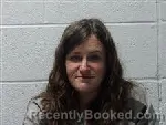 Mugshot of Amy Lynn Logel booked in Polk County, North Carolina on June 12, 2026