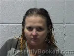 Mugshot of Jillian Edwards Greene booked in Polk County, North Carolina on June 23, 2026