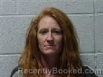Mugshot of Ashley Renee Farris booked in Polk County, North Carolina on June 29, 2026