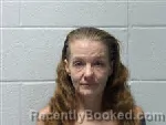 Mugshot of Ashley Robin Harrelson booked in Polk County, North Carolina on August 24, 2026