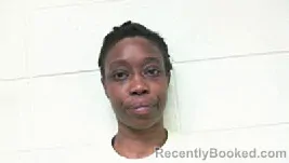 Mugshot of Jakeena Rolina Wilkins booked in Polk County, North Carolina on September 13, 2026