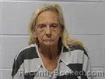 Mugshot of Janice Chapman Fisher booked in Polk County, North Carolina on September 28, 2026