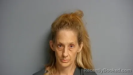 Mugshot of Desiree Lynn Mcginnis booked in Manistee County, Michigan on September 16, 2026