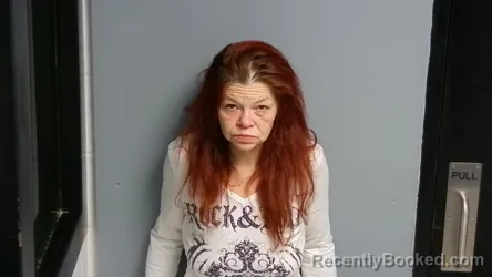 Mugshot of ANDREA ANN ZWALESKY booked in Manistee County, Michigan on April 6, 2026