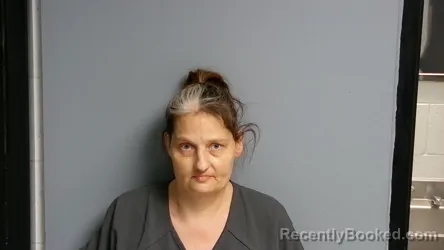 Mugshot of AMBER ANN OSHEA booked in Manistee County, Michigan on April 24, 2026