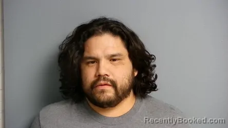 Mugshot of IAN JACK METZGER