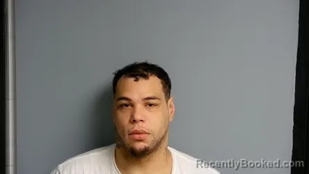Mugshot of MICHAEL VERSHAWN NICKELSON booked in Manistee County, Michigan on May 15, 2026