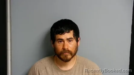 Mugshot of ANDREW BLUE LAWRENCE booked in Manistee County, Michigan on May 23, 2026