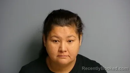 Booking photo from Manistee County, Michigan