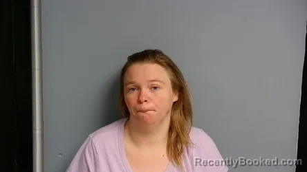 Mugshot of ASHLEY MICHELLE UHL VANVLEET booked in Manistee County, Michigan on April 12, 2026