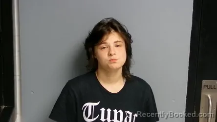 Mugshot of MILEY KAYLYNN BACZEWSKI booked in Manistee County, Michigan on July 9, 2026