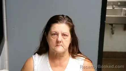 Mugshot of Colleen Tereasa Shelley booked in Manistee County, Michigan on August 13, 2026