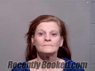 Booking photo from Marquette County, Michigan