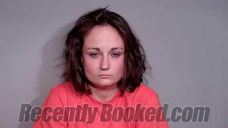 Booking photo from Marquette County, Michigan