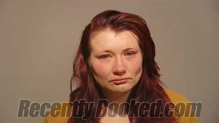 Booking photo from Marquette County, Michigan