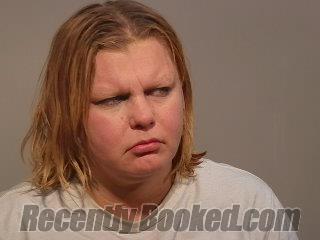 Booking photo from Marquette County, Michigan