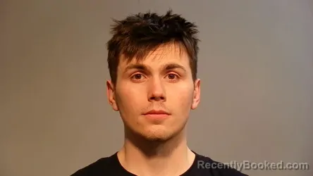 Mugshot of Brandon Michael Skogman