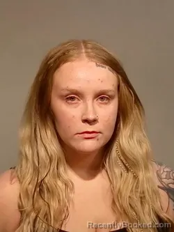 Mugshot of Sierra Paige Laitinen