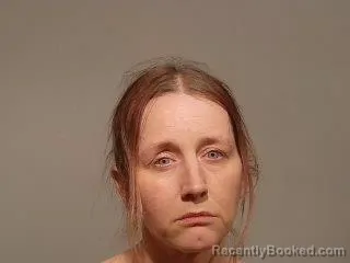 Mugshot of Elizabeth Faye Lane booked in Marquette County, Michigan on May 8, 2026