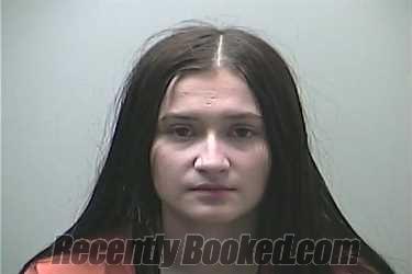 Booking photo from Midland County, Michigan