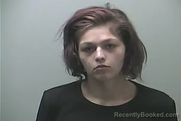 Mugshot of Renee Rose Fenstermaker booked in Midland County, Michigan on August 11, 2026