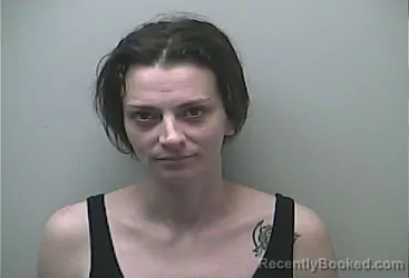 Mugshot of Shelly Ann Fleming booked in Midland County, Michigan on September 28, 2026