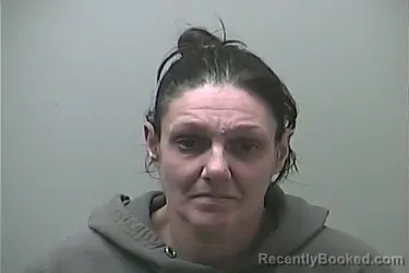 Mugshot of BOBBI JO GODFREY