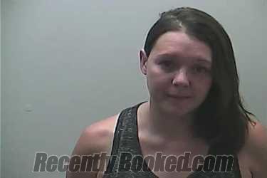 Booking photo from Midland County, Michigan