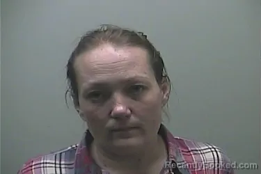 Mugshot of KRYSTLE ANN LAFAVE