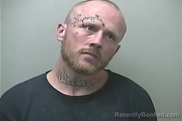Mugshot of WILLIAM PATRICK LYNCH booked in Midland County, Michigan on July 10, 2026
