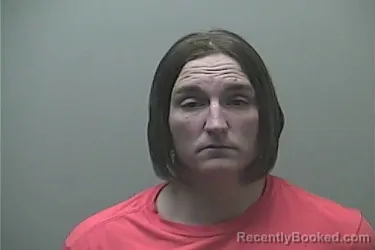 Mugshot of LISA MANSBERRY