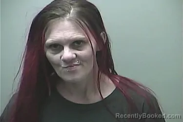 Mugshot of LESHIA ANNA MCCANN booked in Midland County, Michigan on April 17, 2026