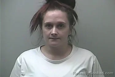 Mugshot of SHANNON NICOLE MECHLING