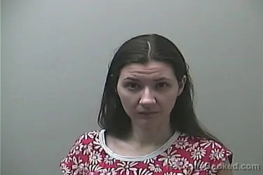 Mugshot of TOMIKA LYNN RYBKOWSKI