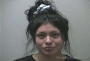 Mugshot of Marilena Cecilia Sitter booked in Midland County, Michigan on September 15, 2026