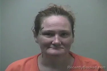 Mugshot of HEIDI JOYCE STARK WENDT booked in Midland County, Michigan on July 29, 2026