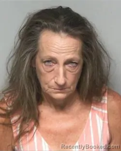 Mugshot of Tonya Irvinia Hogan booked in Randolph County, North Carolina on August 12, 2026