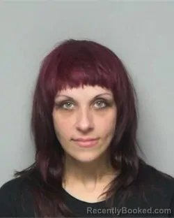 Mugshot of ERICA ASHLEY MILLER booked in Randolph County, North Carolina on June 16, 2026