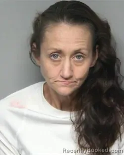 Mugshot of PAMELA NICOLE KELLY