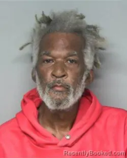 Mugshot of ROOSEVELT JR. MORGAN