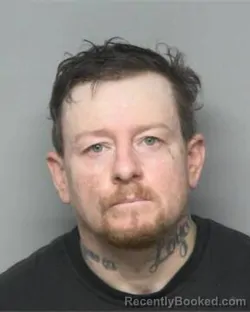 Mugshot of JOHN WESLEY JOHNSON