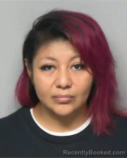 Mugshot of ARACELI MORELOS CRUZ