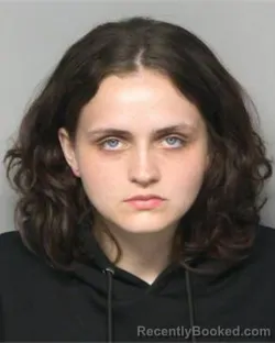 Mugshot of KAITLIN MARIE ADKINS