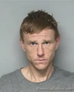 Mugshot of BRANTLEY WAYNE HICKS