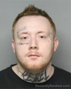 Mugshot of BRAXTON LEE TROGDON