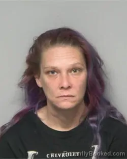 Mugshot of CHASITY ELAINE KING booked in Randolph County, North Carolina on April 2, 2026