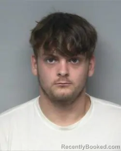 Mugshot of DAMEAN TYLER SWANEY
